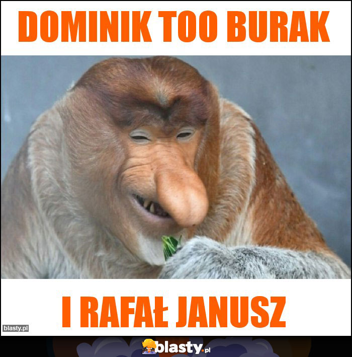 Dominik too burak