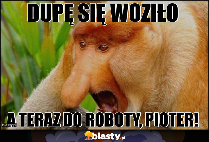 Dupę się woziło