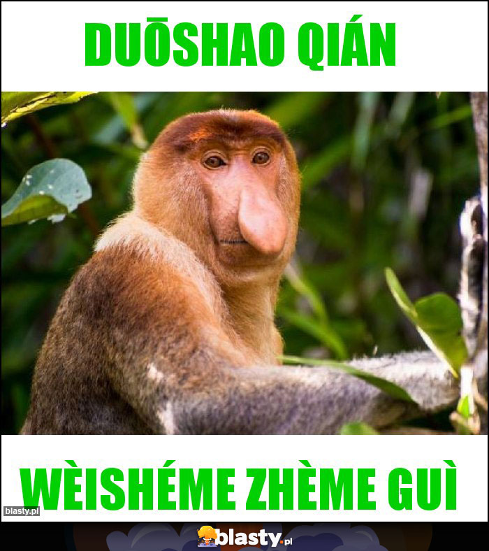 duōshao qián