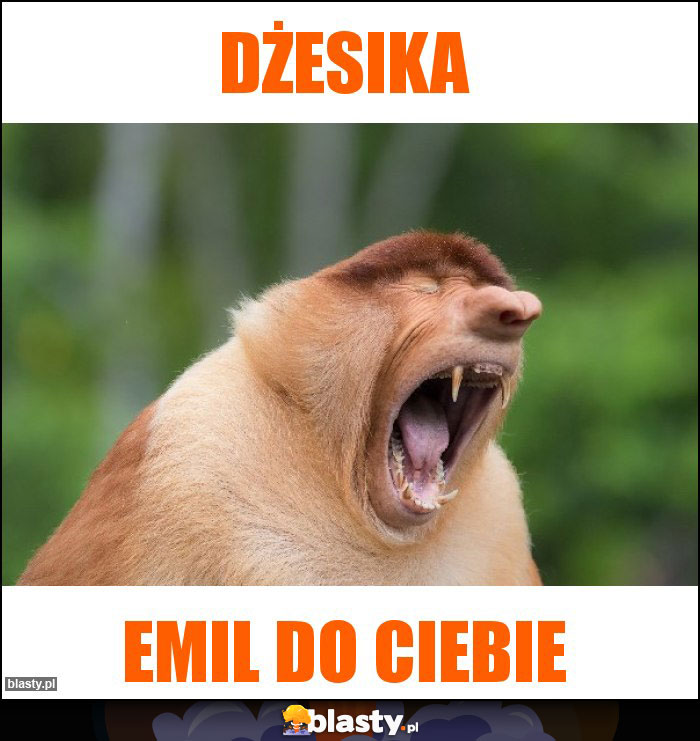 DŻESIKA