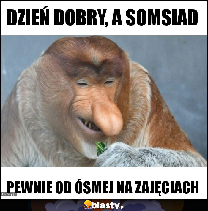 DZIEŃ DOBRY, A SOMSIAD