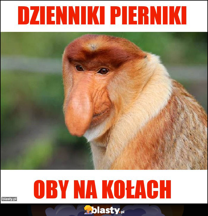 Dzienniki pierniki