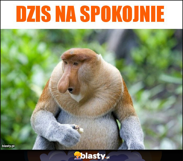 Dzis na spokojnie