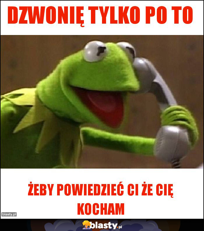 Dzwonię tylko po to