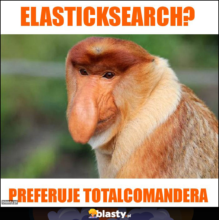 Elasticksearch?