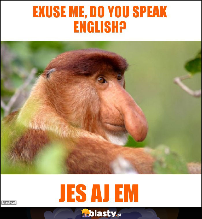 Exuse me, do You speak english?