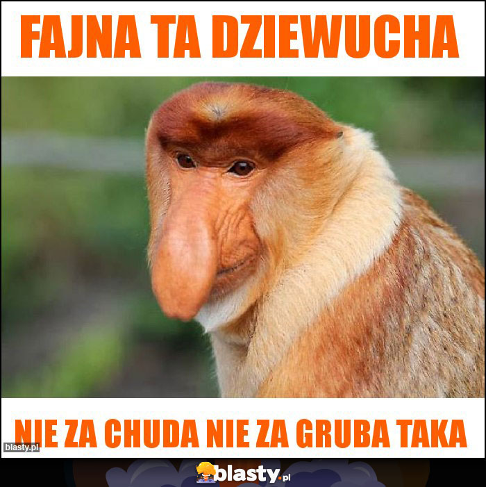 Fajna ta dziewucha