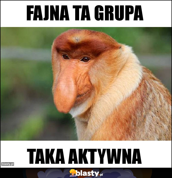 fajna ta grupa