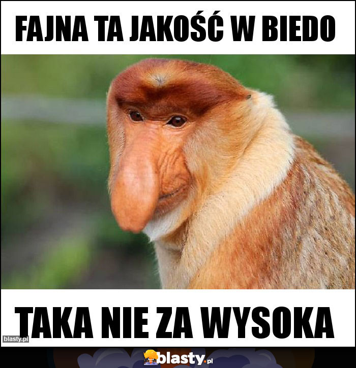 Fajna ta jakość w BieDO