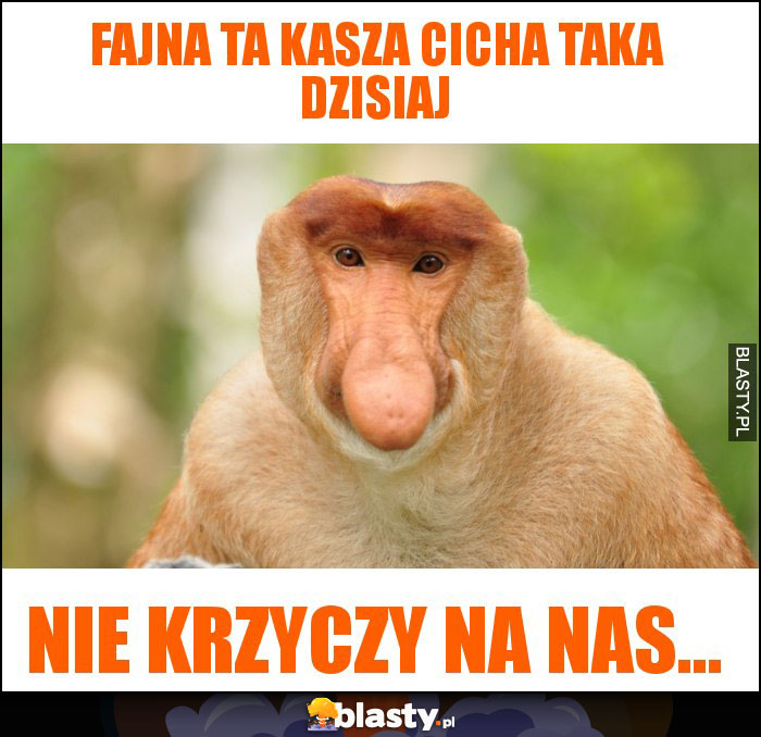 Fajna ta Kasza cicha taka dzisiaj