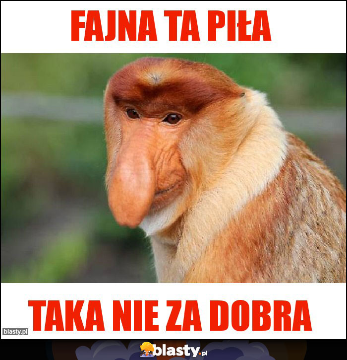 Fajna ta Piła