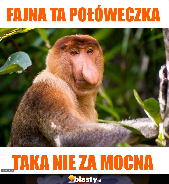 Fajna ta połóweczka