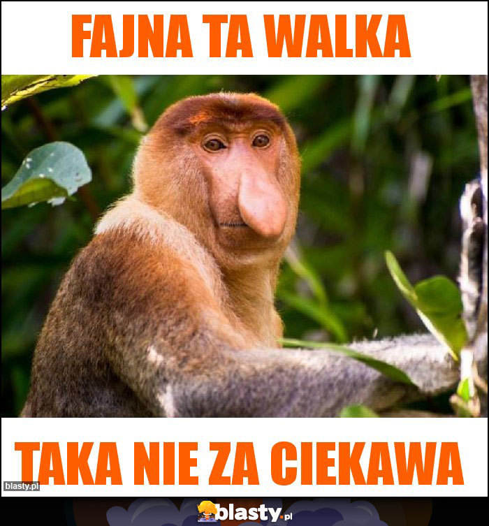 Fajna ta walka