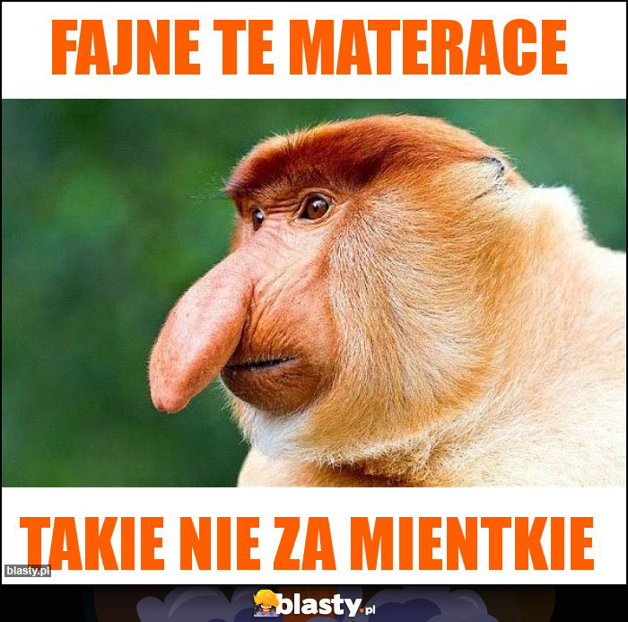 Fajne te materace