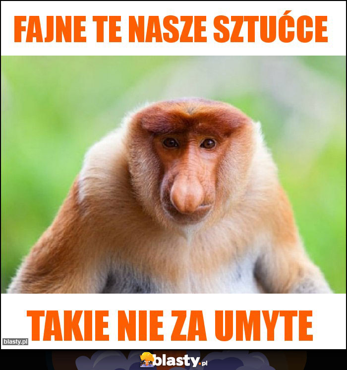 Fajne te nasze sztućce