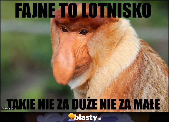 Fajne to lotnisko