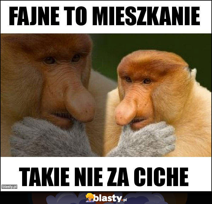 Fajne to mieszkanie