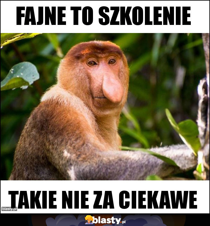 Fajne to szkolenie