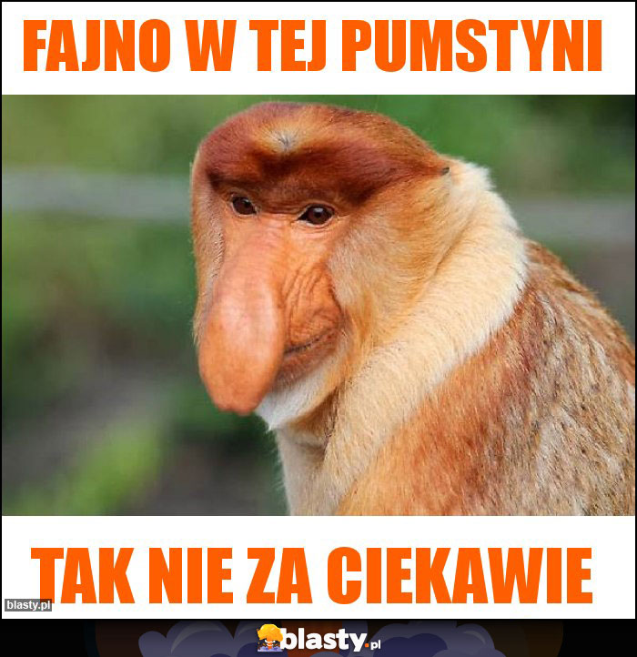 fajno w tej pumstyni