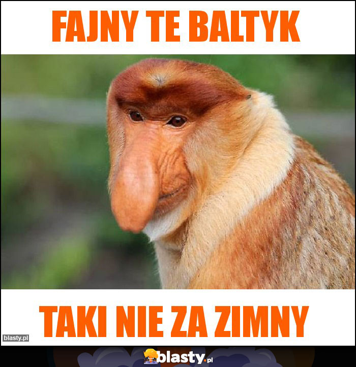 fajny te baltyk