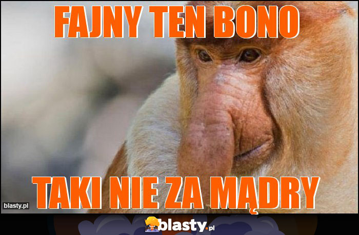 fajny ten bono