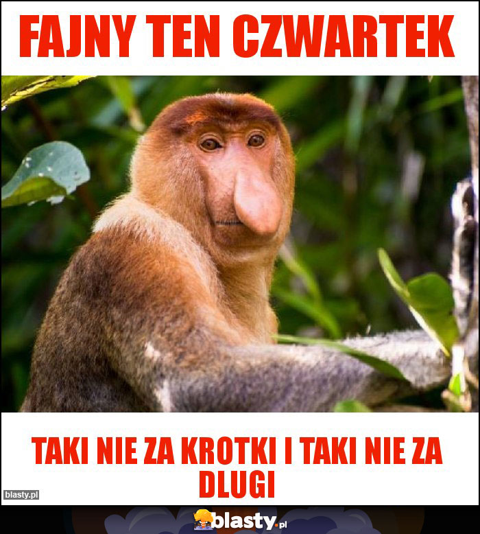 FAJNY TEN CZWARTEK