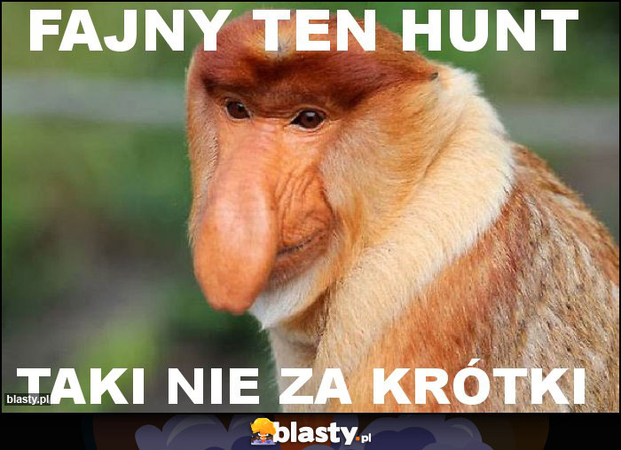 Fajny ten hunt