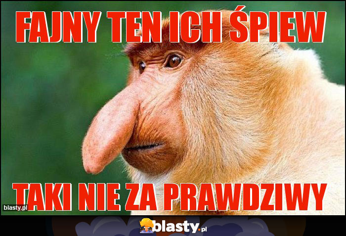 Fajny ten ich śpiew