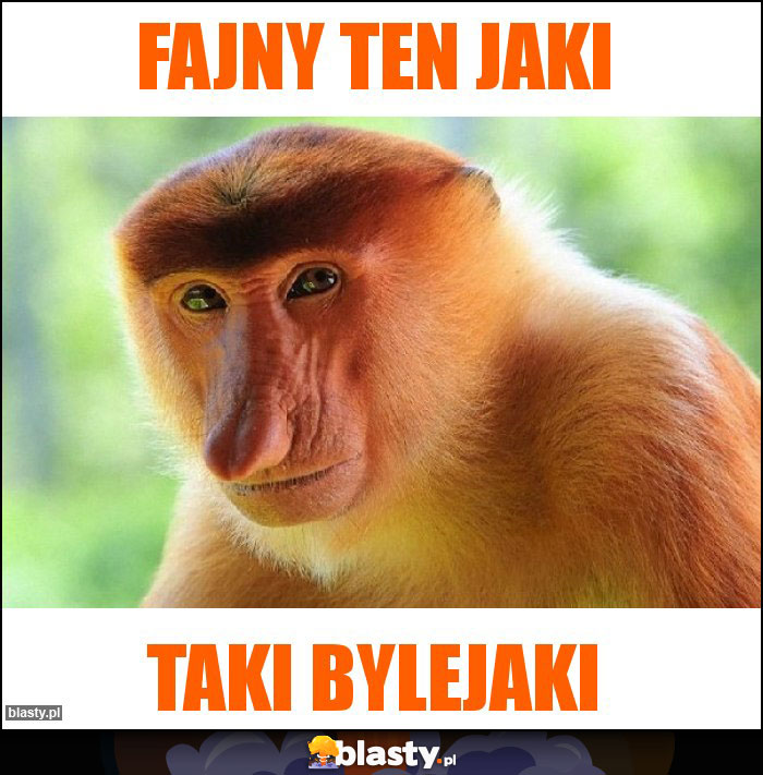 fajny ten jaki