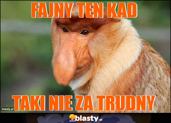 fajny ten kad