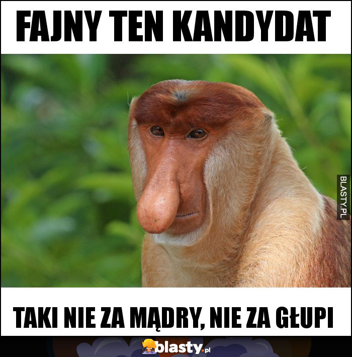 Fajny ten kandydat