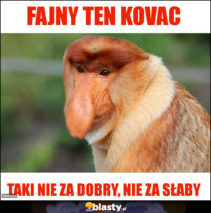 fajny ten kovac