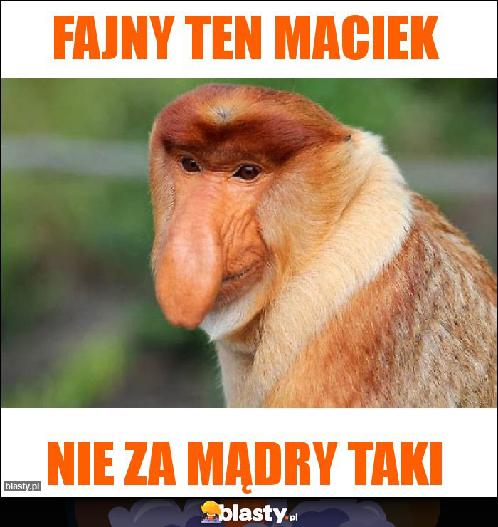 Fajny ten Maciek