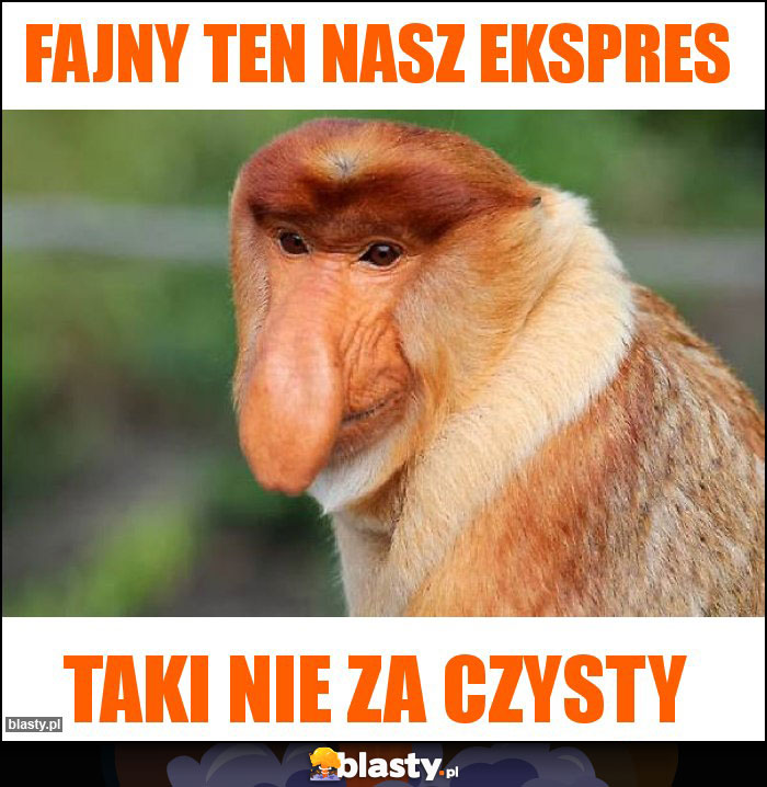 Fajny ten nasz ekspres