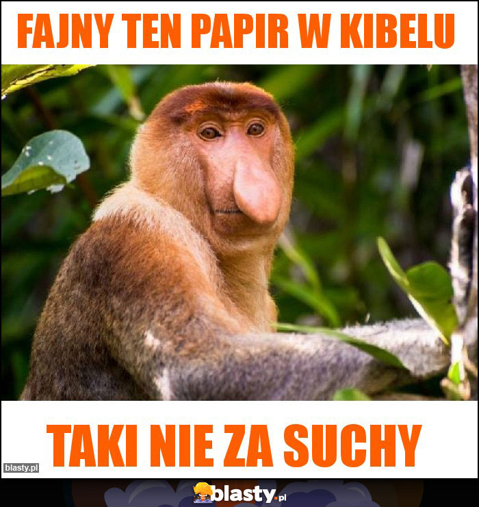 Fajny ten papir w kibelu