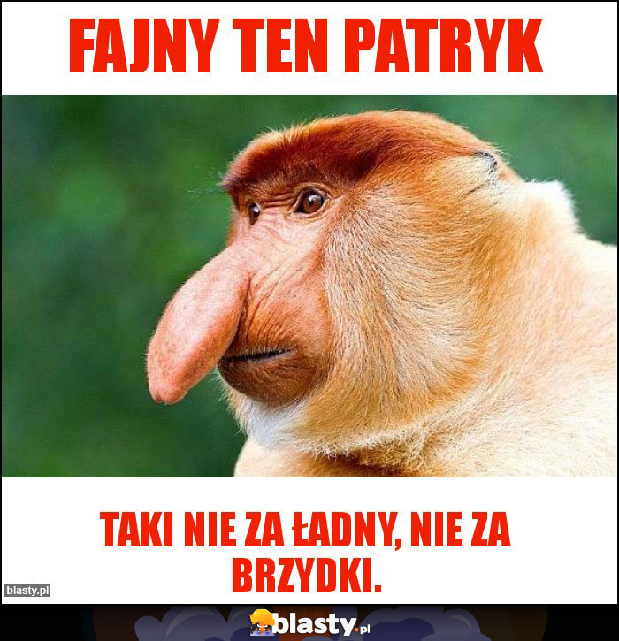 Fajny ten Patryk