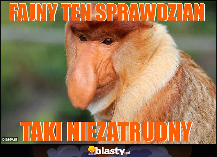 FAJNY TEN SPRAWDZIAN