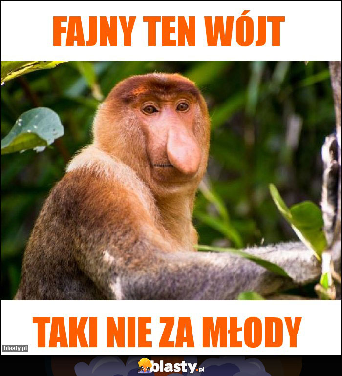 FAJNY TEN WÓJT