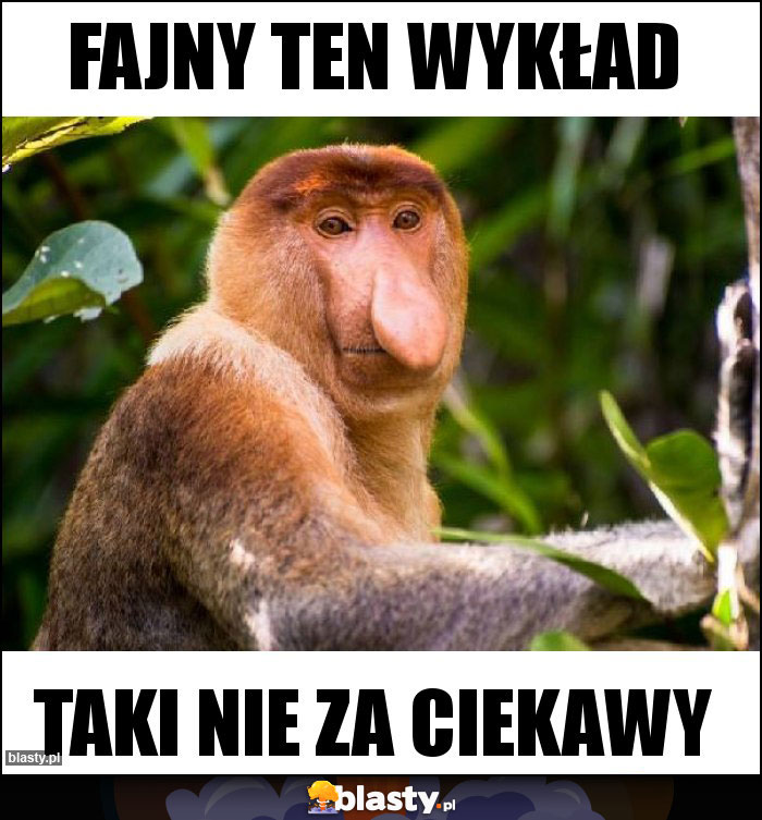 Fajny ten wykład