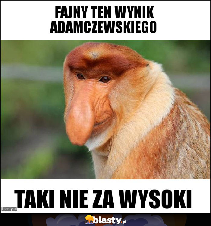 FAJNY TEN WYNIK ADAMCZEWSKIEGO