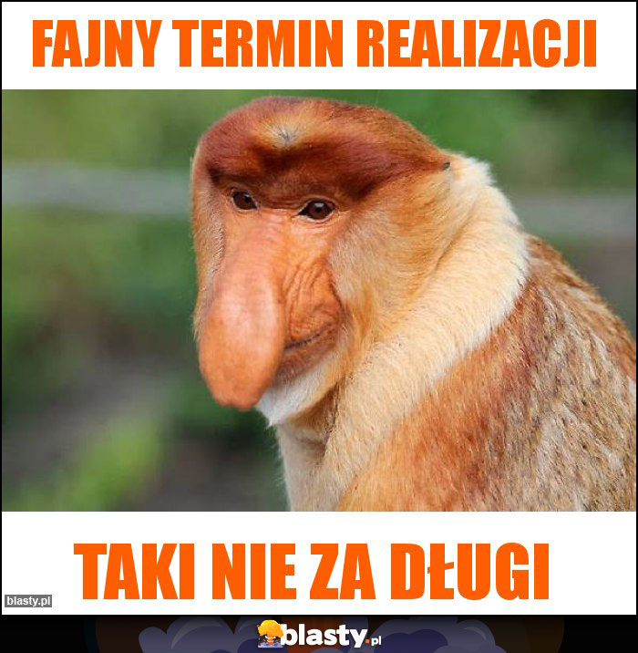 fajny termin realizacji