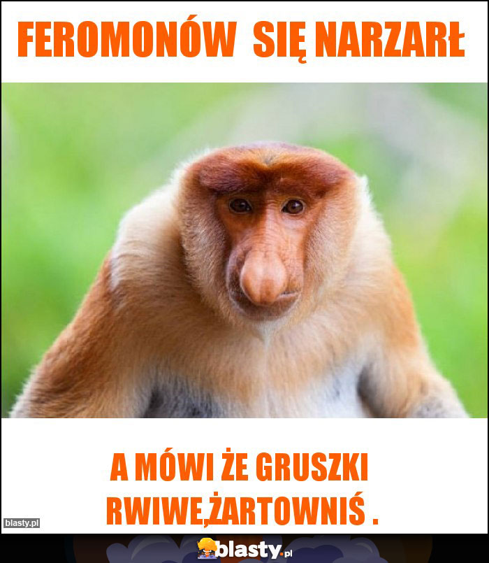 Feromonów  się narzarł