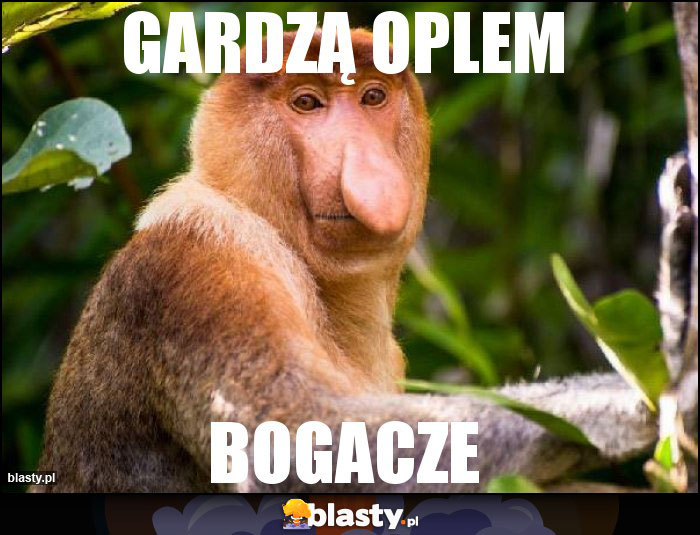 GARDZĄ OPLEM