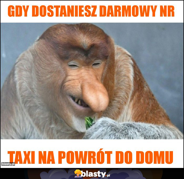 GDY DOSTANIESZ DARMOWY NR