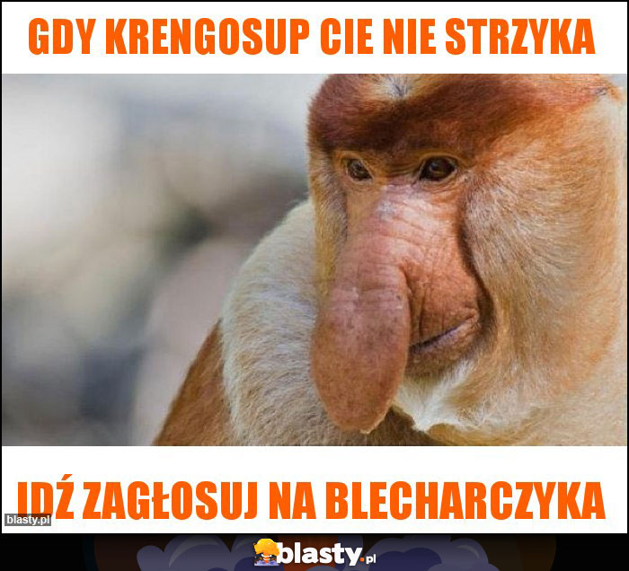 Gdy krengosup Cie nie strzyka