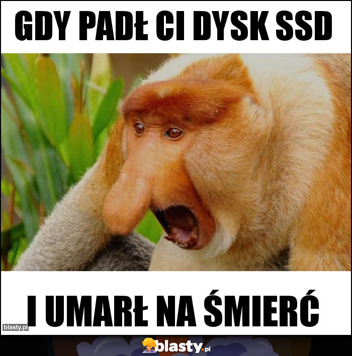 Gdy padł Ci dysk ssd