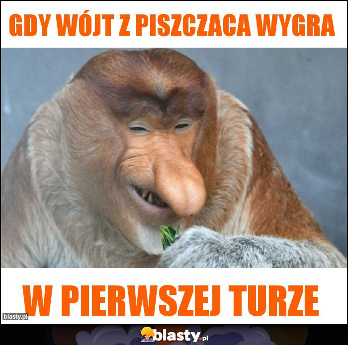 Gdy wójt z Piszczaca wygra