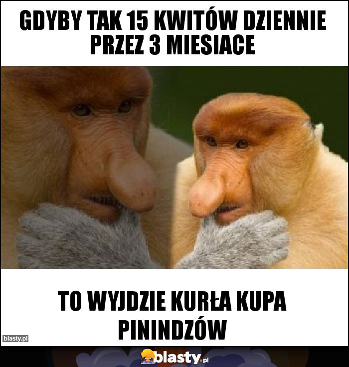 GDYBY TAK 15 KWITÓW DZIENNIE PRZEZ 3 MIESIACE