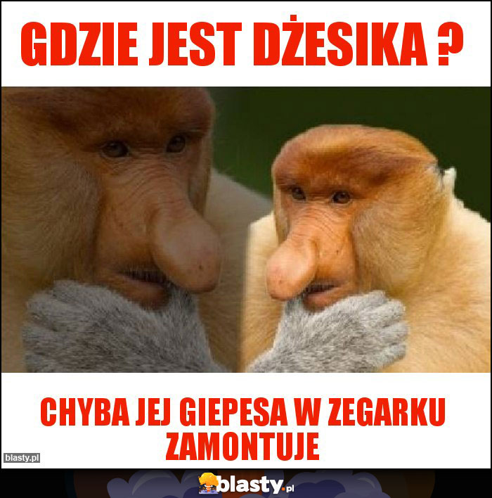 Gdzie jest Dżesika ?