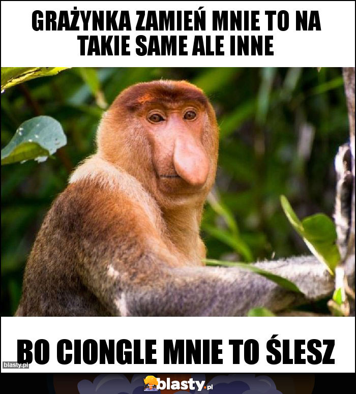 Grażynka zamień mnie to na takie same ale inne